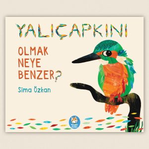 Yalıçapkını Olmak Neye Benzer? Resimli Hikâye Kitabı